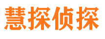 苏仙市侦探公司